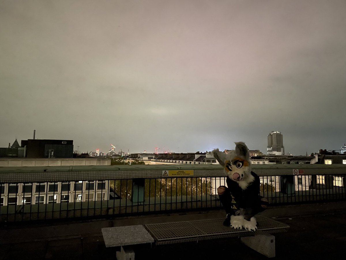 #FursuitFriday from the rooftops of London