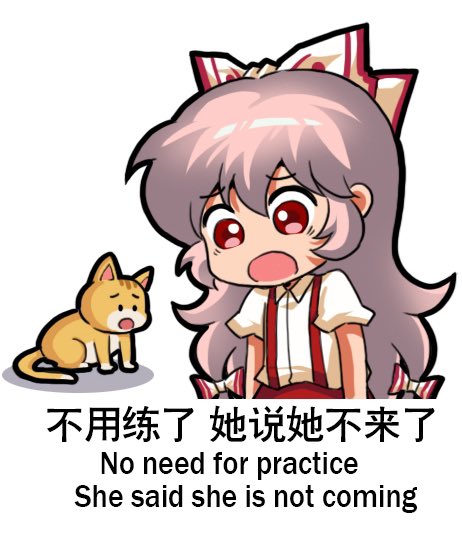 My home cat can do backflips