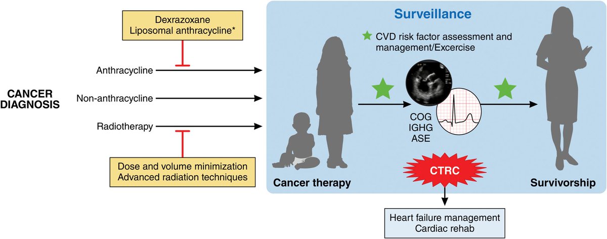 Henry Han (@hancardiomd) on Twitter photo Cardiovascular Toxicity in Patients Treated for Childhood Cancer: A Scientific Statement From the <a href="/AHAScience/">AHA Science</a>
Pharmacological and nonpharmacological cancer therapies with reported effects on the CVS in pediatric patients
#CardioOncology <a href="/CircAHA/">Circulation</a>
ahajournals.org/doi/10.1161/CI… Cardiovascular Toxicity in Patients Treated for Childhood Cancer: A Scientific Statement From the <a href="/AHAScience/">AHA Science</a>
Pharmacological and nonpharmacological cancer therapies with reported effects on the CVS in pediatric patients
#CardioOncology <a href="/CircAHA/">Circulation</a>
ahajournals.org/doi/10.1161/CI…