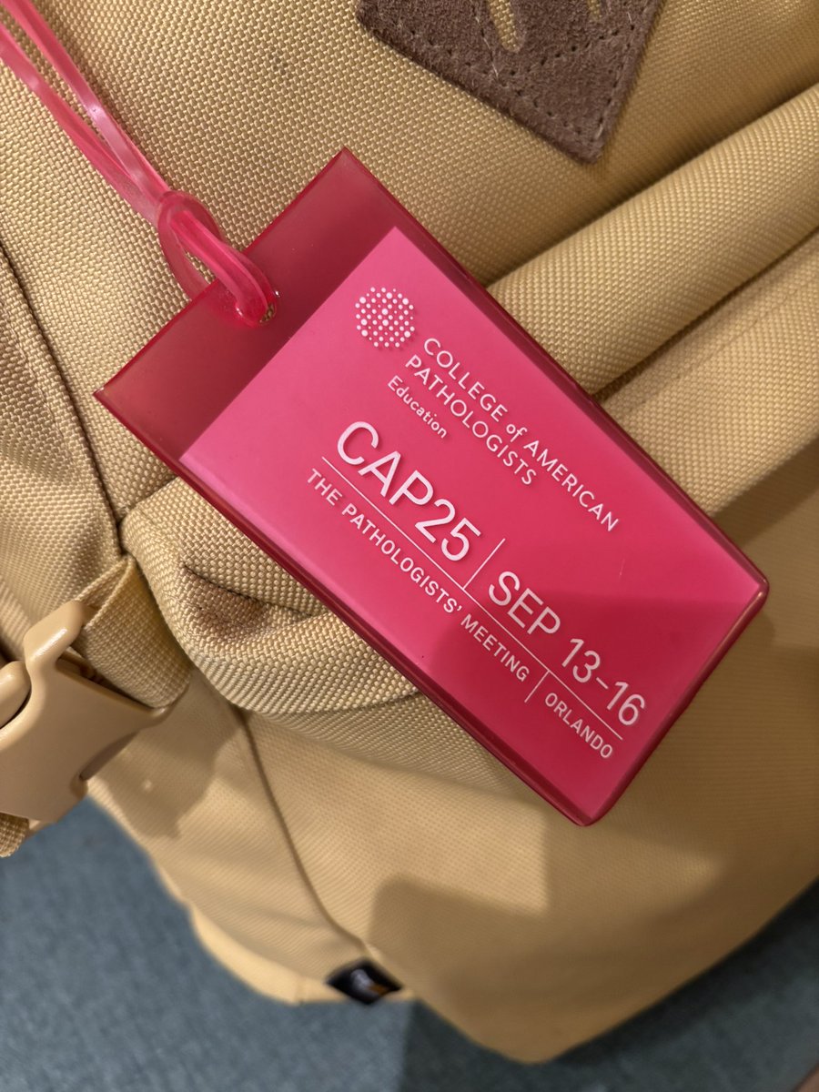 Hafsa Nebbache, MD (@nebbachehafsa) on Twitter photo The CAP Resident Forum takes place tomorrow #SPRF25 ! Who’s ready for it ? 
Also, can we talk about how perfect PINK 🌸💖 is for next year’s #CAP25 meeting in Orlando? Save the dates, everyone!
“The perfect luggage  tag 🏷️ 🤩 Thank you <a href="/Pathologists/">CAPathologists</a> ”
<a href="/Pathologists/">CAPathologists</a> <a href="/TheUSCAP/">USCAP</a> The CAP Resident Forum takes place tomorrow #SPRF25 ! Who’s ready for it ? 
Also, can we talk about how perfect PINK 🌸💖 is for next year’s #CAP25 meeting in Orlando? Save the dates, everyone!
“The perfect luggage  tag 🏷️ 🤩 Thank you <a href="/Pathologists/">CAPathologists</a> ”
<a href="/Pathologists/">CAPathologists</a> <a href="/TheUSCAP/">USCAP</a>