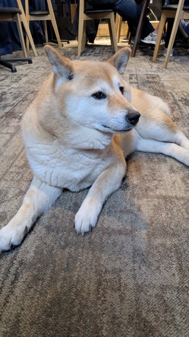 皆さまおはよ〜ございます☀
休日だけどお昼までちょっと仕事… 