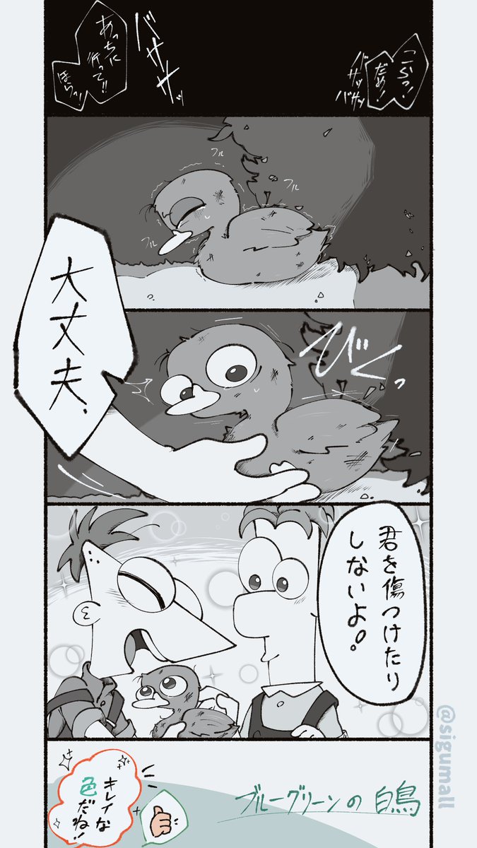sigumall's tweet image. ブルーグリーン色の白鳥