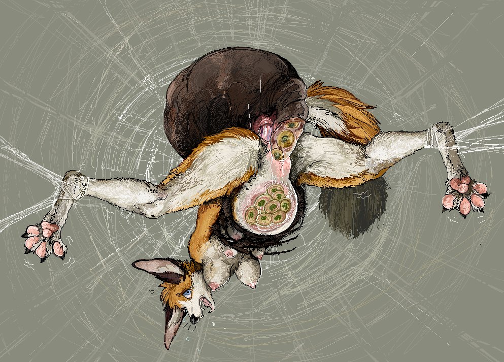 💉gore artist 💉warning graphic content 18+ tweet media