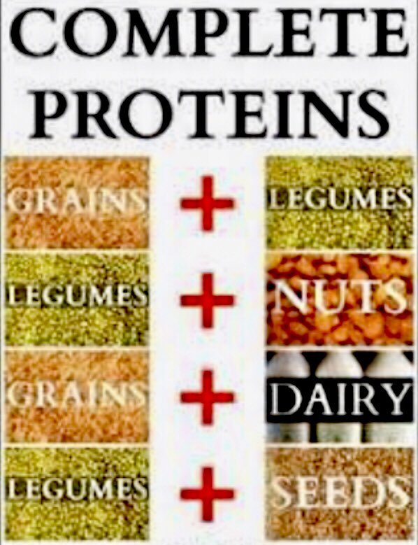 JeanClaudeZone's tweet image. #Vegan / #Vegetarian 
Complete-Proteins. 
☝️Generally speaking you should be consuming 
✅Grass-FedRed Meat
✅Fresh-Caught Fatty Fish
✅Free-Range Chicken
#foodcombining #protein #healthyfood #diet #completeproteins
