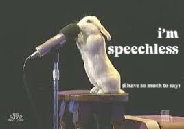 Bunnies (@bunnies) on Twitter photo 