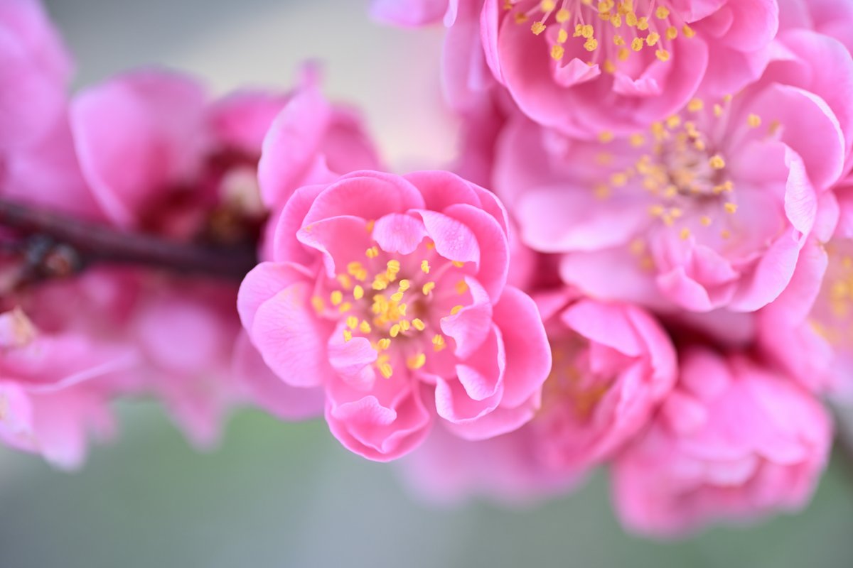 PhotoOrdinary's tweet photo. #photography https://t.co/mZ2bVwfrso