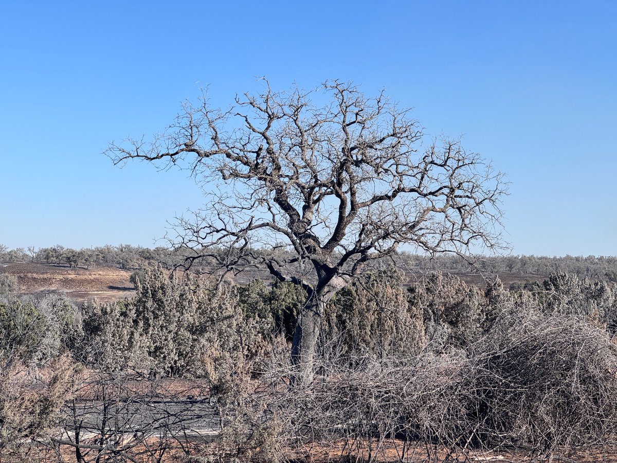 Sean_Doerre's tweet photo. Humbling experience over the last six days telling the story of Fredericksburg's Fire Department battle against the Crabapple Fire. #FBGTX https://t.co/eh0neyndiT