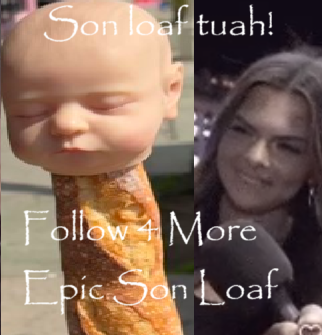 funkyfreak26's tweet photo. New meme alert? #sonloaf #son #loaf #viral #danhentschel #fyp @danghentschel https://t.co/garrVgoCkz