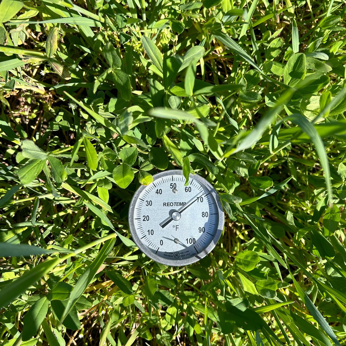 Soil temp is vital for early #corn #plant25 because warm soils enhance growth, improve stand quality and yield. However, soil may fluctuate widely from air temps during the day. 

For example, air temp was 64F when these photos were taken.

🌽🌾☘️ #mscorn #MSUext #covercrops
