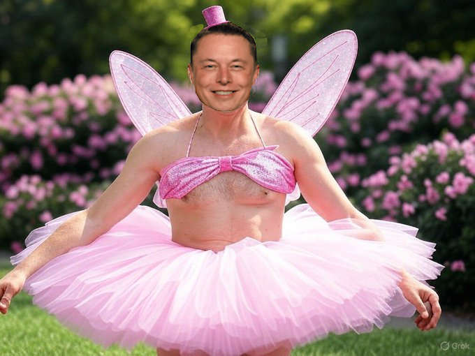 markcouch's tweet photo. @Bridge_of_Peril @elonmusk @JDVance @WhiteHouse This is more like it... https://t.co/ZiBwyakmZU
