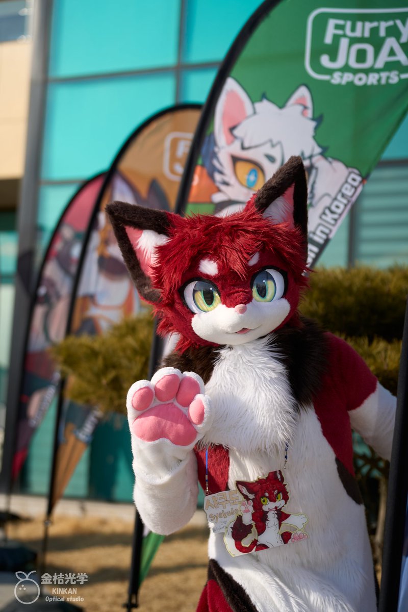 Hiya!
📷:<a href="/LittleApplecat/">Gomeow·金桔·柠檬茶</a> 
#FursuitFriday