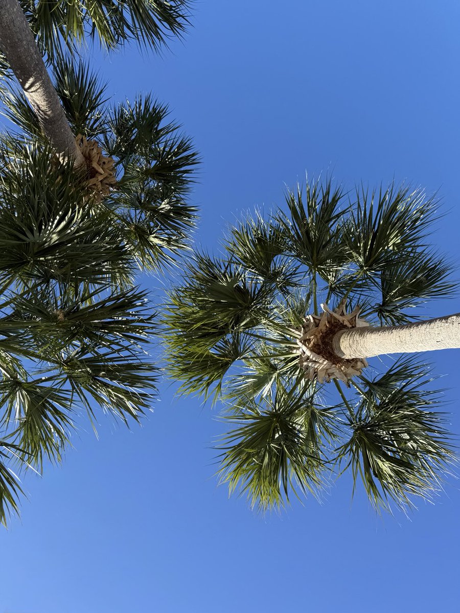 Extreme Weather Enthusiasts tweet media