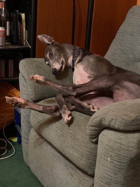 It's World Poetry Day so here are a few hitherto unpublished poems for you to enjoy. :-)

ideal-reader.blog/2025/03/21/wor…