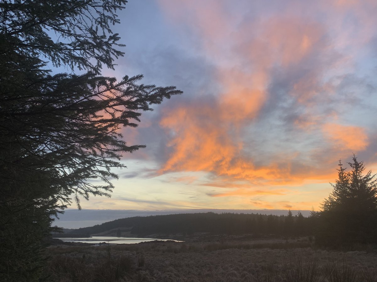 Dusk goose survey, extremely peaceful as darkness closed in all around me. Nothing to disturb my silent contemplation - including, sadly, any geese!!