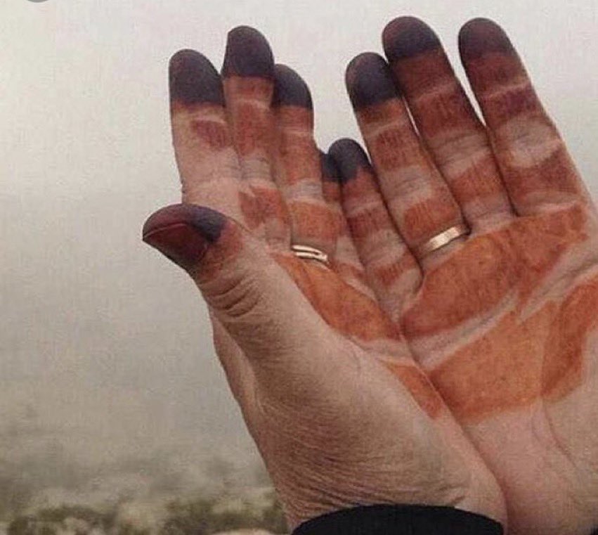 بندر بن فهد tweet media