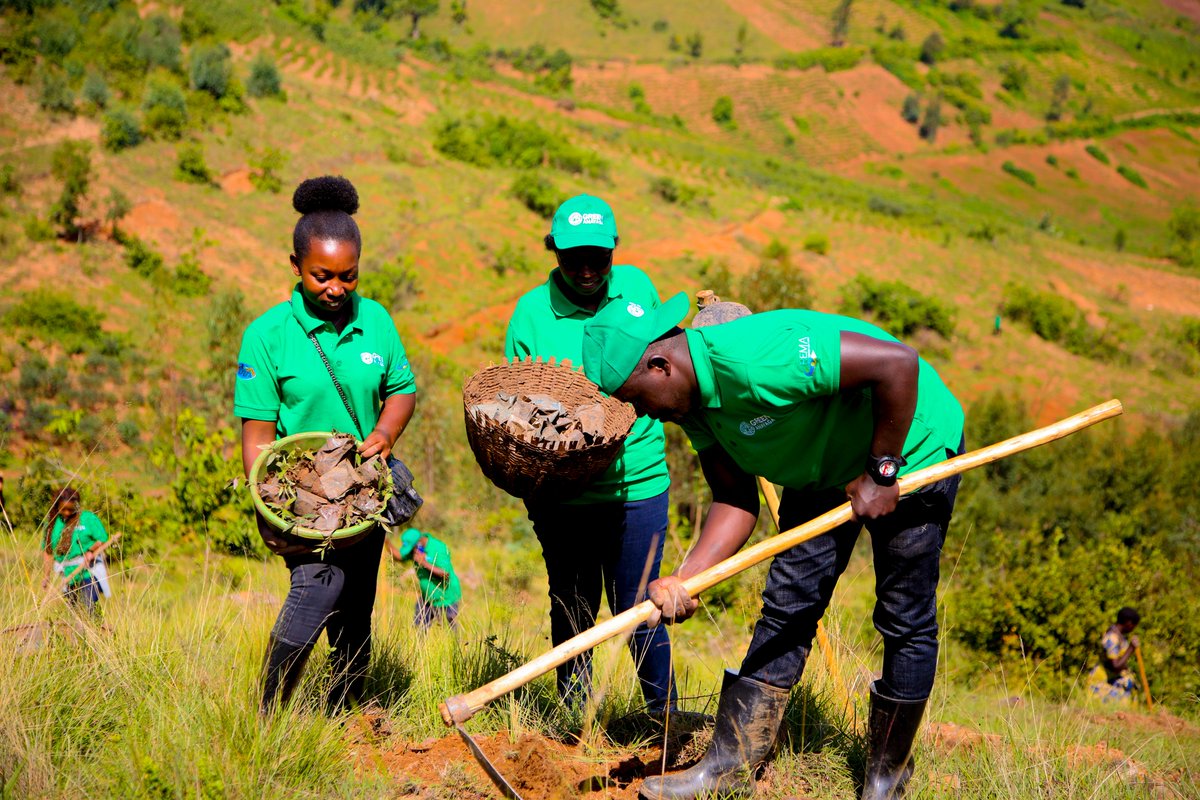ApefaNgo's tweet photo. 🌳 Happy #ForestDay! 🌱 At APEFA Rwanda, we’re restoring forests & protecting watersheds:
🌱 24.3M trees planted
🌳2,800 ha of forest enriched
💧18 watersheds safeguarded
👩🏾🌾 289K+ people benefiting
Forests are life—let’s protect them! 🌍💚 #APEFA #Reforestation #ClimateActio https://t.co/SMaEZflbG1