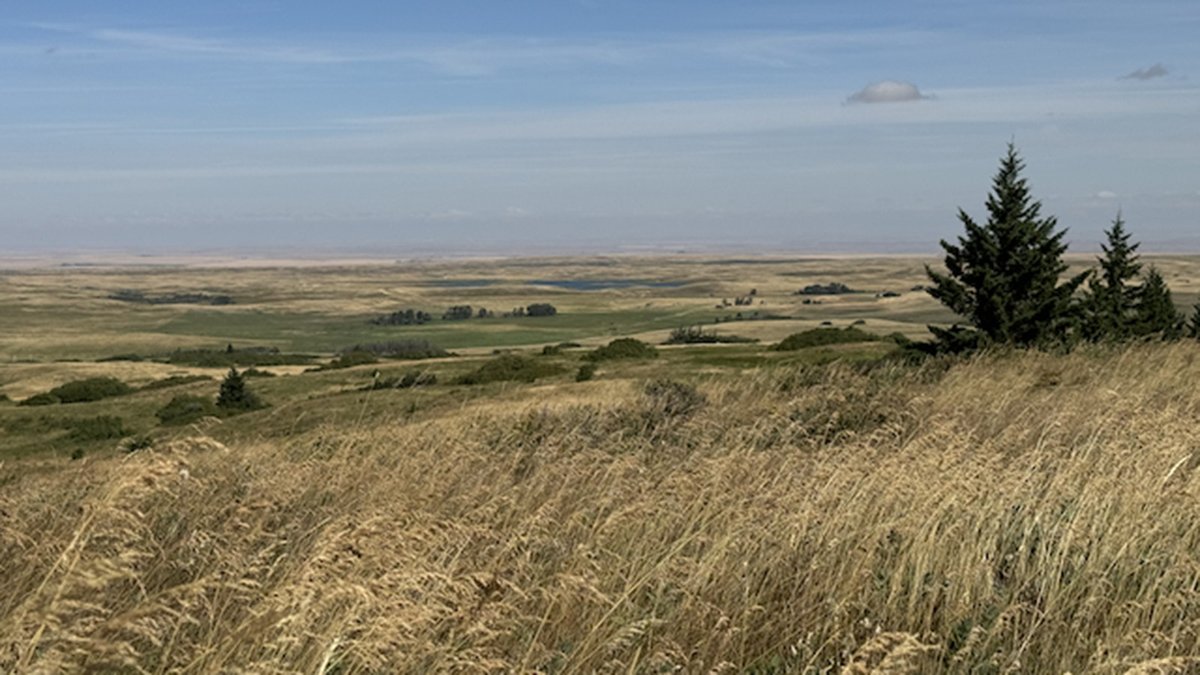 UAlberta Augustana (@uofa_augustana) on Twitter photo On March 25 from 1-2 p.m. MDT, join us online for the Grassland Learning & Knowledge Hub Launch!
Led by the U of A, this national initiative is in partnership with <a href="/CFGA_ACPF/">CFGA_ACPF</a>, <a href="/ducanada/">Ducks Unlimited CAN</a> and RAD Network, funded by ECCC.
Learn more and register: us06web.zoom.us/meeting/regist…
Photo On March 25 from 1-2 p.m. MDT, join us online for the Grassland Learning & Knowledge Hub Launch!
Led by the U of A, this national initiative is in partnership with <a href="/CFGA_ACPF/">CFGA_ACPF</a>, <a href="/ducanada/">Ducks Unlimited CAN</a> and RAD Network, funded by ECCC.
Learn more and register: us06web.zoom.us/meeting/regist…
Photo