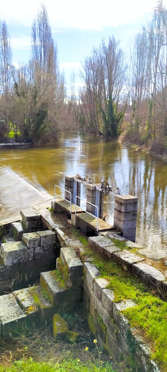 DaniElefantman's tweet photo. Va de crecida de ríos. El río Eresma de Segovia #rio #Eresma #Segovia #hacerfotos https://t.co/gf6ef0e0MG