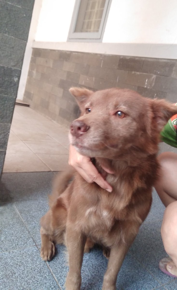 Kangen ndul 🌈🦮