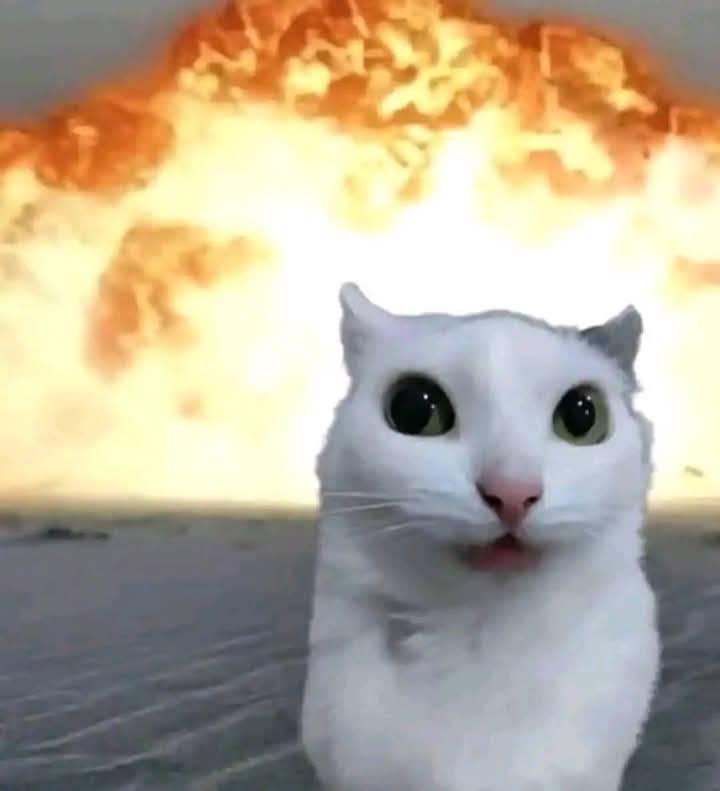 Bueno, habia dicho que iba a hacer otra cuenta, y se dió, se me deslogueó esta cuenta en el pc y no recuerdo la contraseña xdd, asi que tocó hacerme otra cuenta, los que quieran seguirme este es mi nueva cuentas <a href="/AEnjuCatto/">AEnjuCatto</a> , ahi seguire posteando lo debido y nuevos cosos