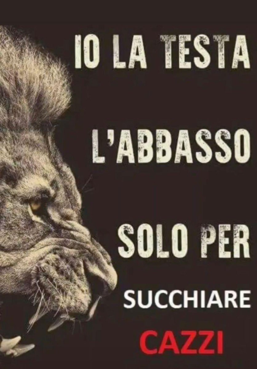 messo ripetutamente play alla nuova uscita di sissi