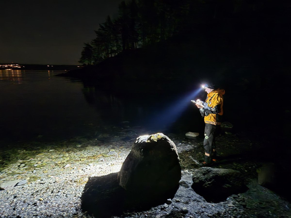 NFFollo's tweet image. Vi er innsats i #Asker fredag kveld. Søk etter savnet person. budstikka.no/helikopter-og-…