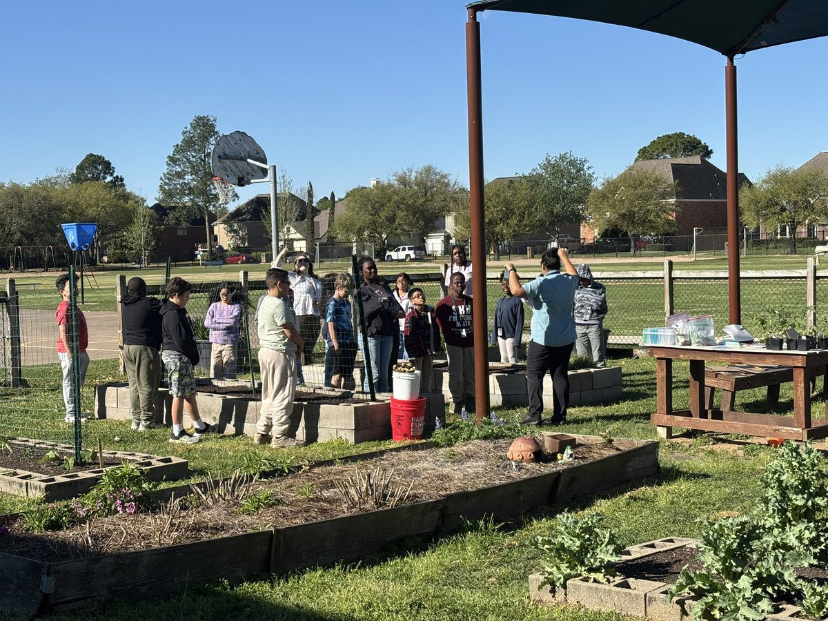 MrsDennisGarcia's tweet photo. @mschatelle class enjoying some sunshine ☀️ while learning in the garden! 🪴👩🏻‍🌾@readygrowgarden @cfisdowens https://t.co/5cdkn7I0As