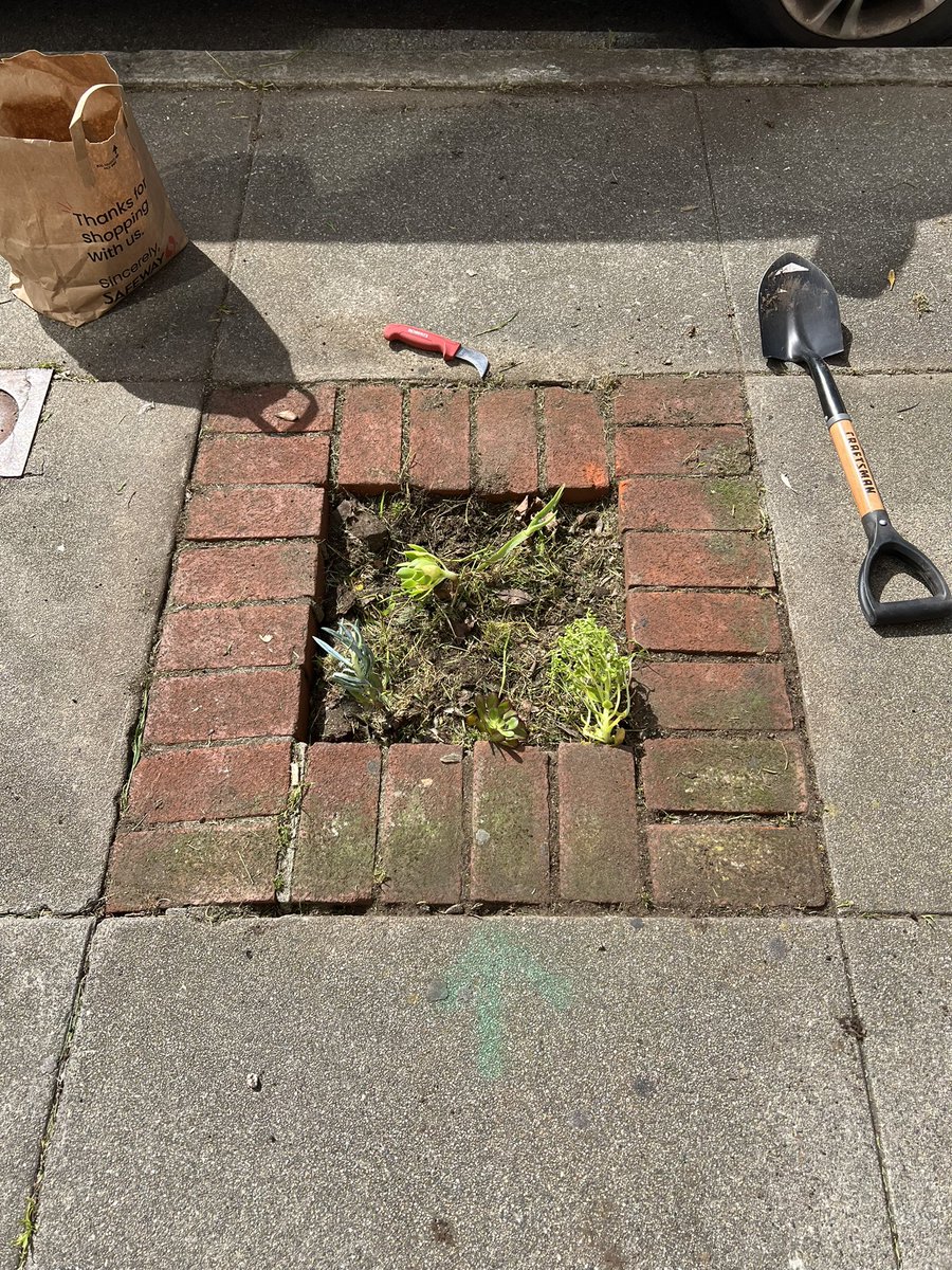 It’s Spring! Wrapping up our pocket garden plantings, but the work continues…

We’ll be back to mulch, water, weed, restake, and clean. And, the cycle continues as we sow seeds &amp; propagate our crop.

We’ll need volunteers to help, so stay tuned for more.