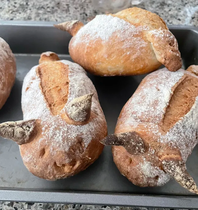 Takomunch tweet media