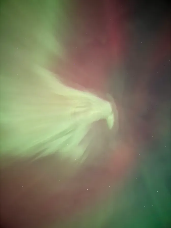 TweetAurora's tweet photo. Voted "Most Surprising Smartphone Photo," this beautiful birdlike aurora titled "The Eagle Has Landed," by @katandcharles! https://t.co/8QbNqrcDYZ