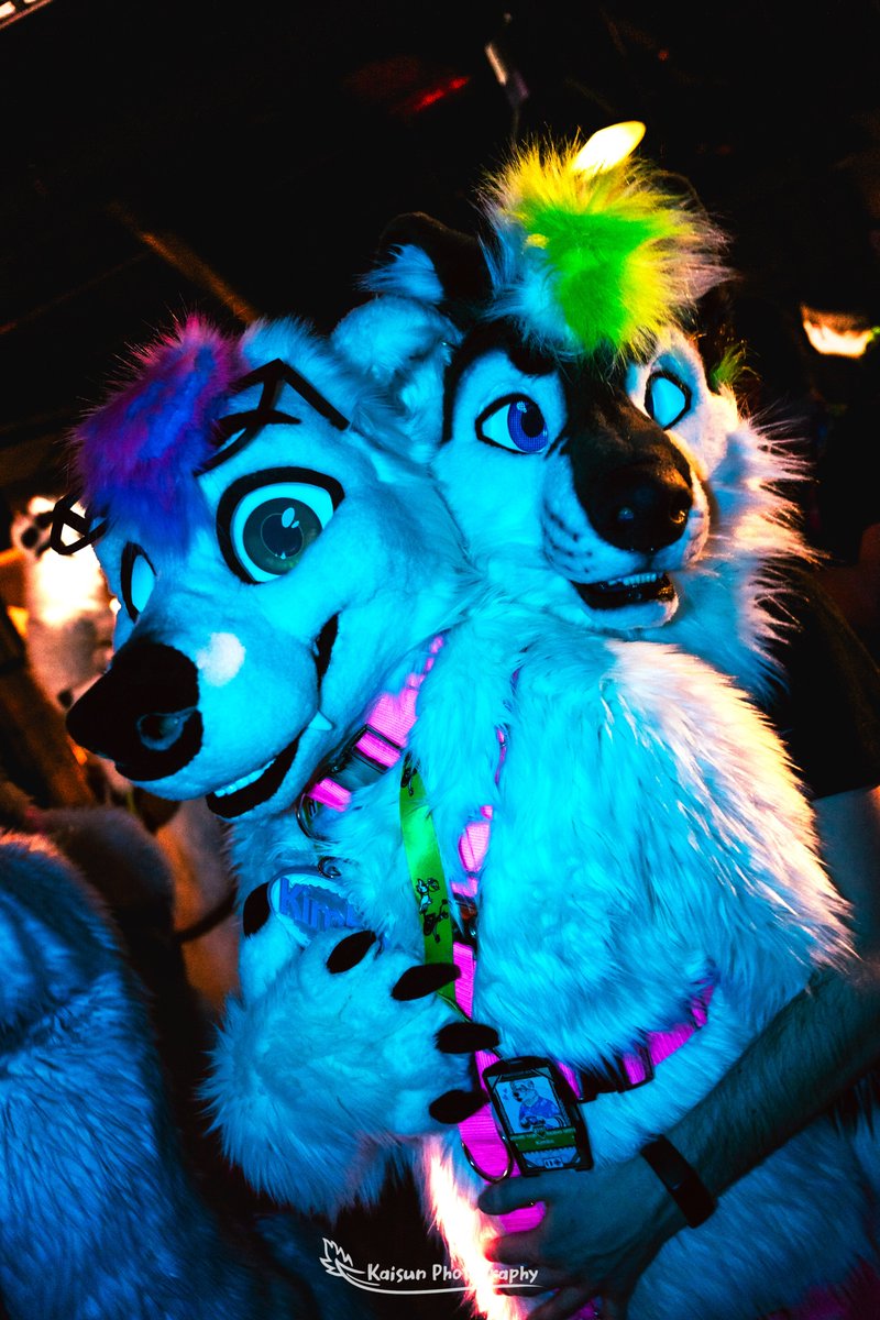 FuzzyCodec's tweet image. Same con, same dance, same energy, different year...
#FursuitFriday #furry #fursuit #fursuiter #NordicFuzzCon
🐻: @KimboBurr
📷: @KaisunDerg
🦊: @WhoYouLeastExp_
📷: @Devonshiree1