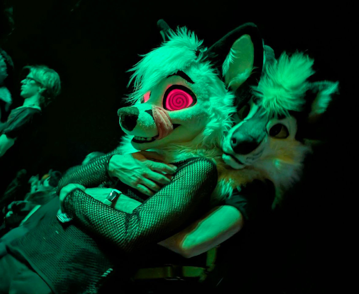 FuzzyCodec's tweet image. Same con, same dance, same energy, different year...
#FursuitFriday #furry #fursuit #fursuiter #NordicFuzzCon
🐻: @KimboBurr
📷: @KaisunDerg
🦊: @WhoYouLeastExp_
📷: @Devonshiree1
