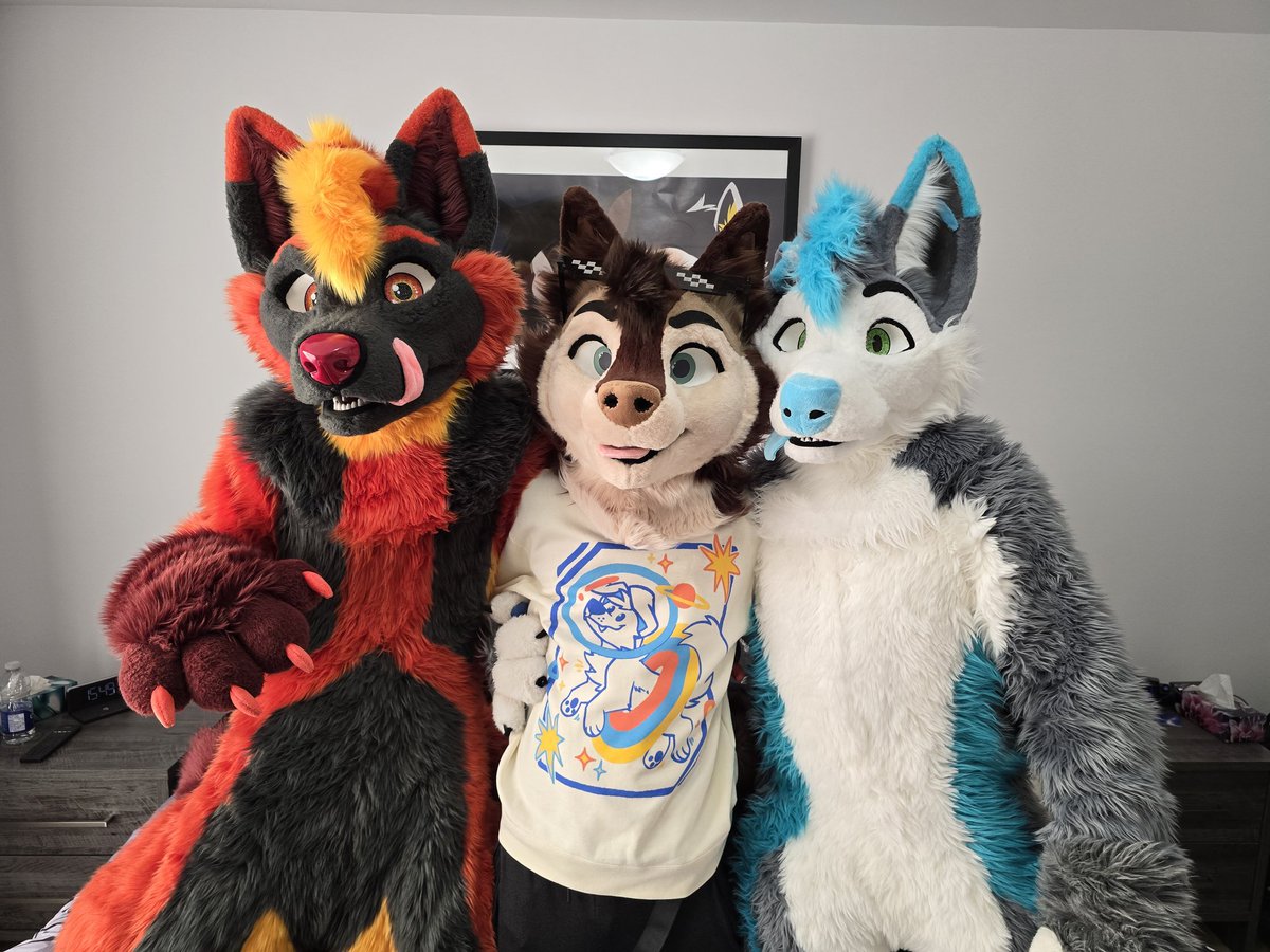Wishing you all a great #fursuitfriday, a nice #furnalequinox2025 and a fantastic week-end ! 😊❤️
 
❤️ <a href="/KabameTheHusky/">Kabame</a>
💙 <a href="/amatsupup/">amatsu</a>
📸 <a href="/Yin_Rave/">🐺Yin🐺 🔜 EF2025</a>