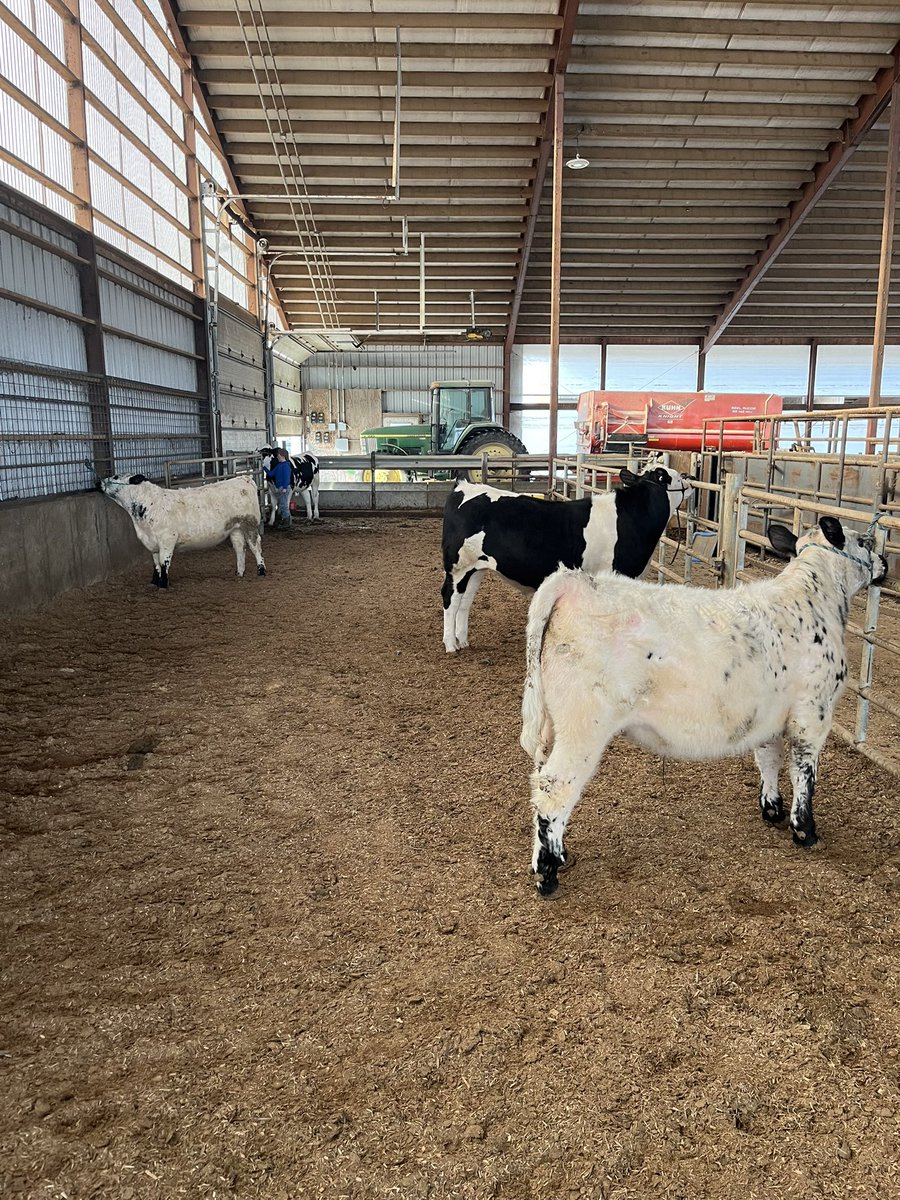 MWagenson's tweet photo. Fair will be here before we know it #4-H https://t.co/aubKl9FaPb