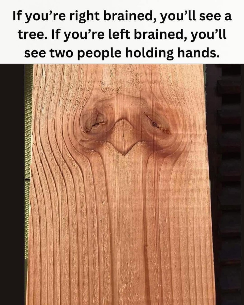 Victor Bigham 🇺🇸 tweet media