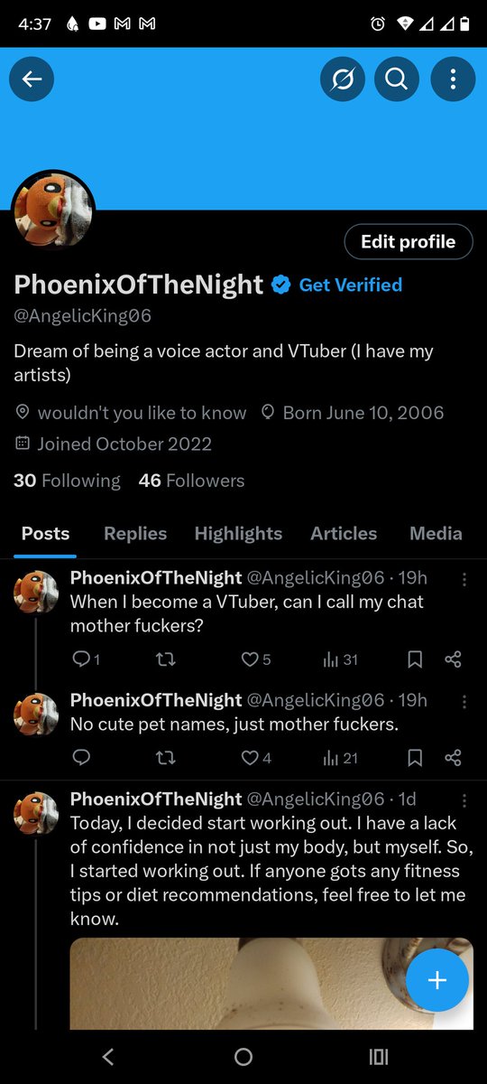PhoenixOfTheNight_VA (@AngelicKing06) / Posts / X