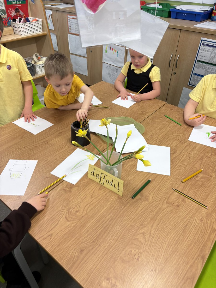 EastfieldPSHull's tweet image. We’ve been exploring signs of spring in EYFS! This week the children have enjoyed creating their own artwork - drawing the spring flowers daffodils. 🌼 #epsFRL #epsart #epsscience
