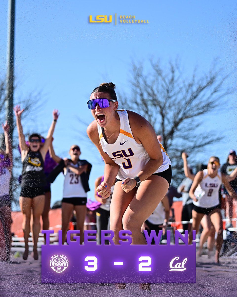 TIGERS WIN! TIGERS WIN!