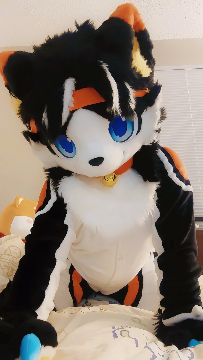IIIMuffinIII's tweet photo. 你醒啦w
#FursuitFriday #furry https://t.co/bIQf5vn1KT