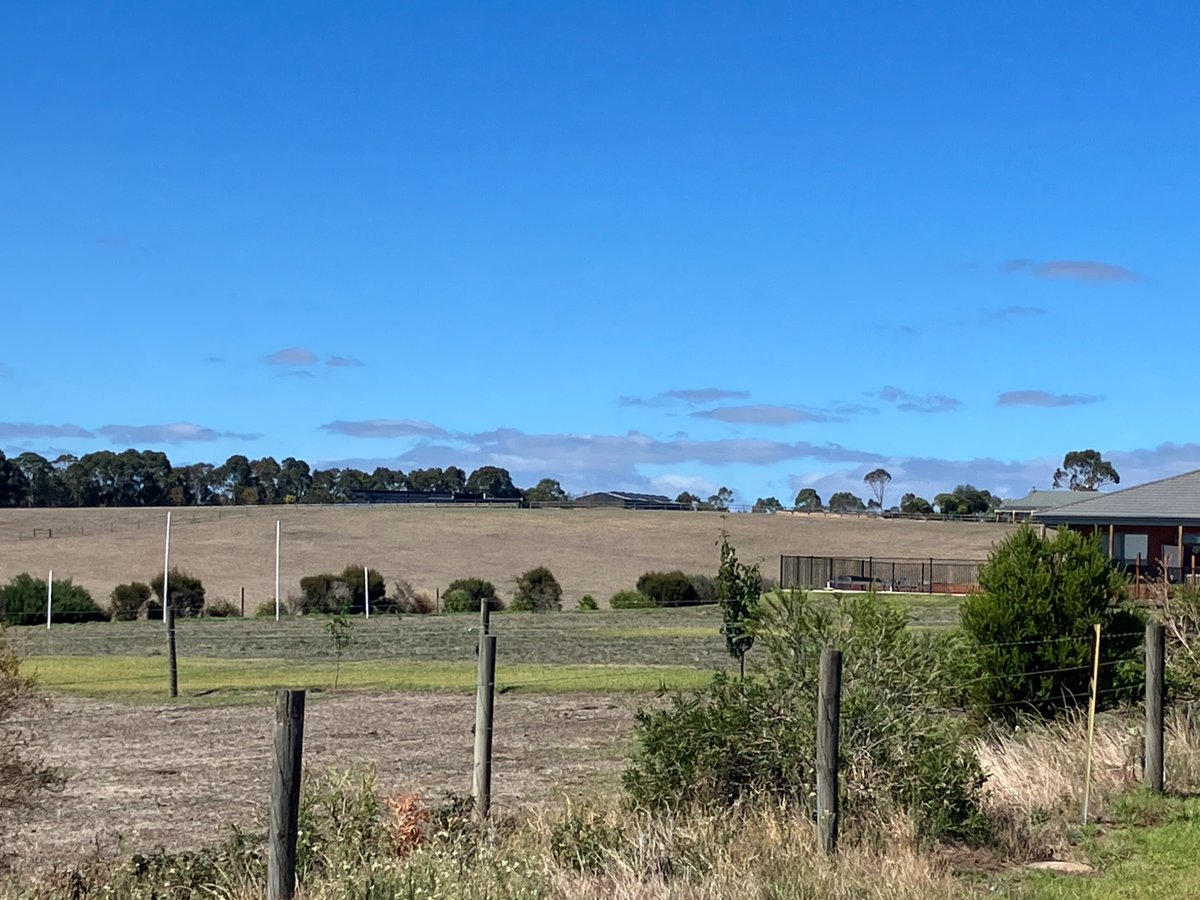Peter Hanlon (@peterghanlon) on Twitter photo Where it began for <a href="/brisbanelions/">Brisbane Lions</a> newbie Will McLachlan, every kid’s backyard field of dreams. Go Will. Where it began for <a href="/brisbanelions/">Brisbane Lions</a> newbie Will McLachlan, every kid’s backyard field of dreams. Go Will.