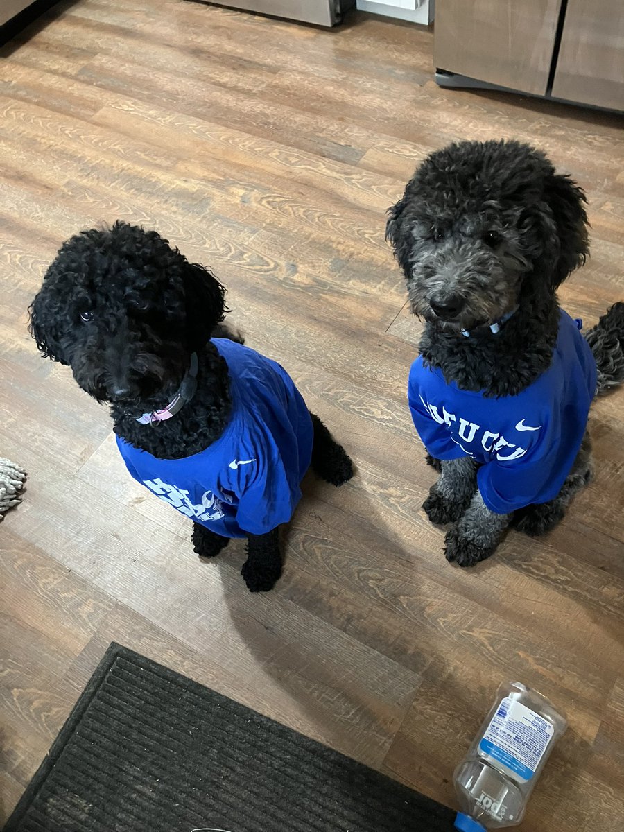 shawnnapier2's tweet image. My girls are ready for the game!! #bbn