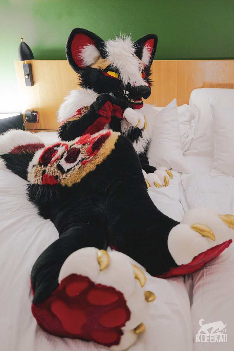 <a href="/DallyDoggo/">Dally Doggo</a> <a href="/LavenderFoxxo/">🪻💐 Lavender Fox 💐🪻🔜 AC Megaplex</a> Touch paws?