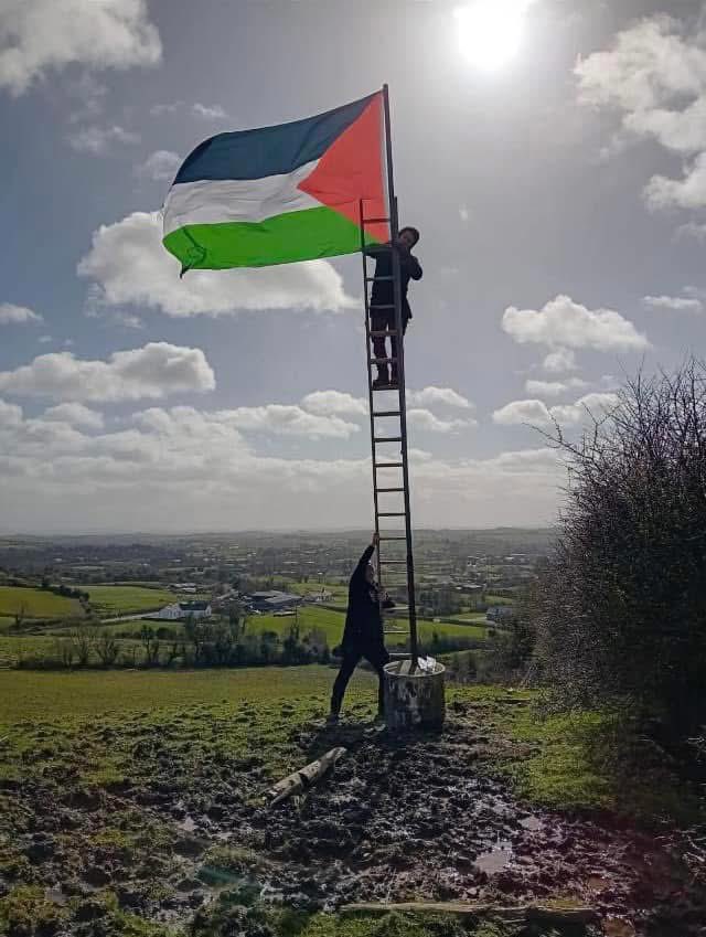 Irish Unity 🇮🇪🇵🇸 tweet media