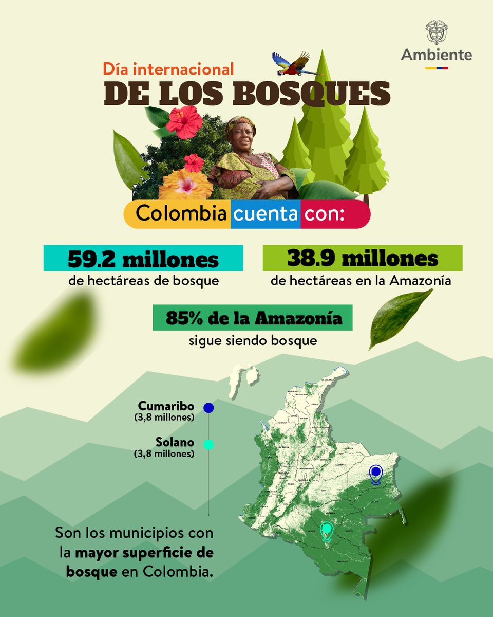 MinAmbienteCo's tweet photo. Colombia cuenta con 59,2 millones de hectáreas de bosque y seguimos protegiéndolas.🌳🇨🇴

En el Día Internacional de los Bosques reafirmamos nuestro compromiso con la biodiversidad y las comunidades que trabajan en los Núcleos de Desarrollo Forestal para contener la deforestación. https://t.co/IEBkvGpXzb