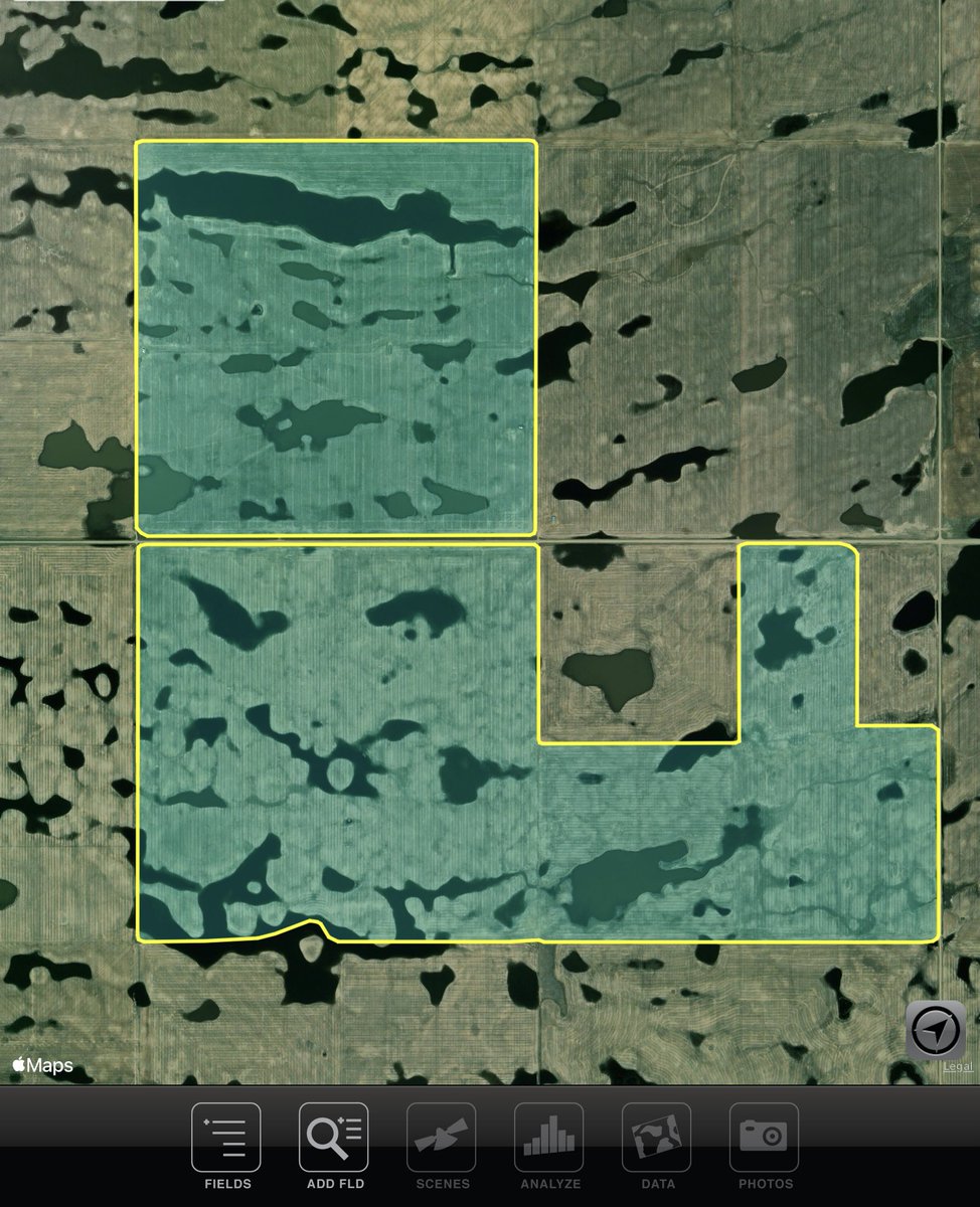 Dale (@dalesteele11) on Twitter photo <a href="/BetterFarmingON/">Better Farming | It's Farming. And It's Better.</a> <a href="/SCSAgronomy/">Dale Cowan CCA.On 4R NMS</a> <a href="/OntarioFarms/">Ontario Federation of Agriculture</a> <a href="/OntAg/">Farms.com Ontario</a> <a href="/OntarioSoilCrop/">Ontario Soil & Crop</a> <a href="/CCAOntario/">CCA Ontario</a> Huge advance in remote sensing with satellite technology… look back decades & use to identify & map field variability, guide ground-truth & soil sampling. Dry southern AB field example, with 2012 wet year. But NIR/NDVI vegetation tools are rarely taught to Ag students. <a href="/BetterFarmingON/">Better Farming | It's Farming. And It's Better.</a> <a href="/SCSAgronomy/">Dale Cowan CCA.On 4R NMS</a> <a href="/OntarioFarms/">Ontario Federation of Agriculture</a> <a href="/OntAg/">Farms.com Ontario</a> <a href="/OntarioSoilCrop/">Ontario Soil & Crop</a> <a href="/CCAOntario/">CCA Ontario</a> Huge advance in remote sensing with satellite technology… look back decades & use to identify & map field variability, guide ground-truth & soil sampling. Dry southern AB field example, with 2012 wet year. But NIR/NDVI vegetation tools are rarely taught to Ag students.