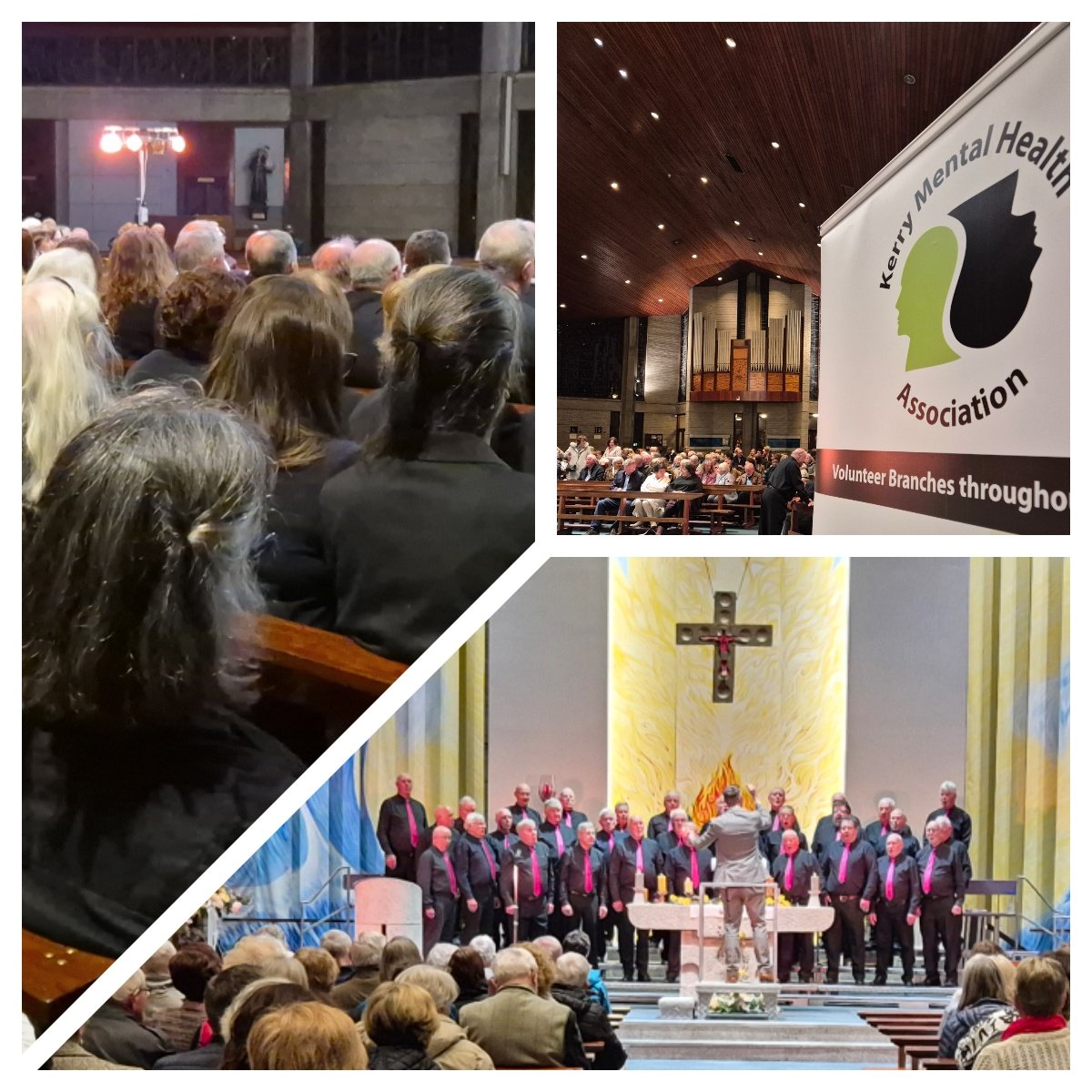A wonderful concert. A lovely audience. Thank you for coming and thanks to Rotary Club Tralee for nominating Kerry Mental Health Association as one of the two charity beneficiaries.