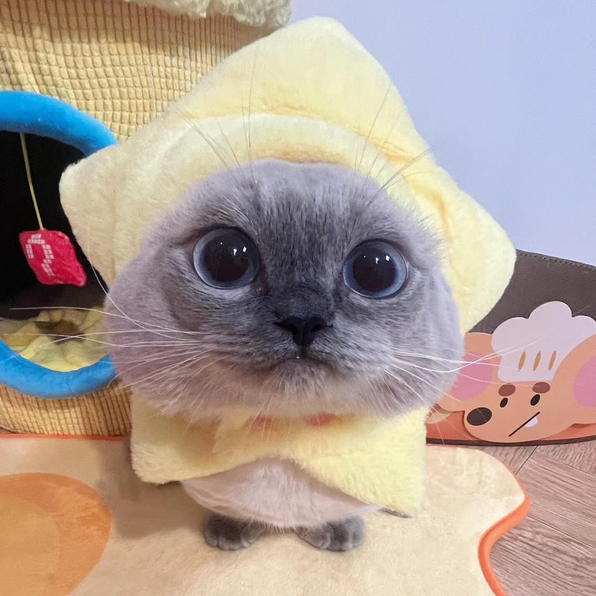 谁在那儿？// whos there? 💓