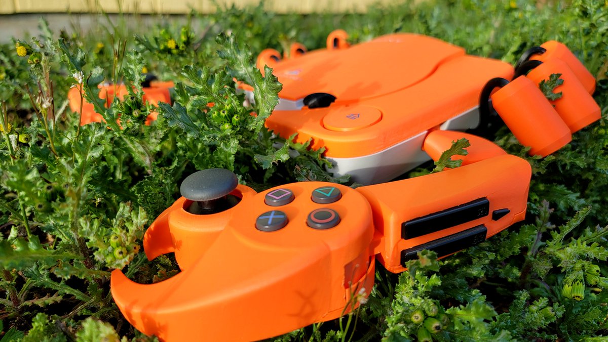 GingerOfOz tweet media