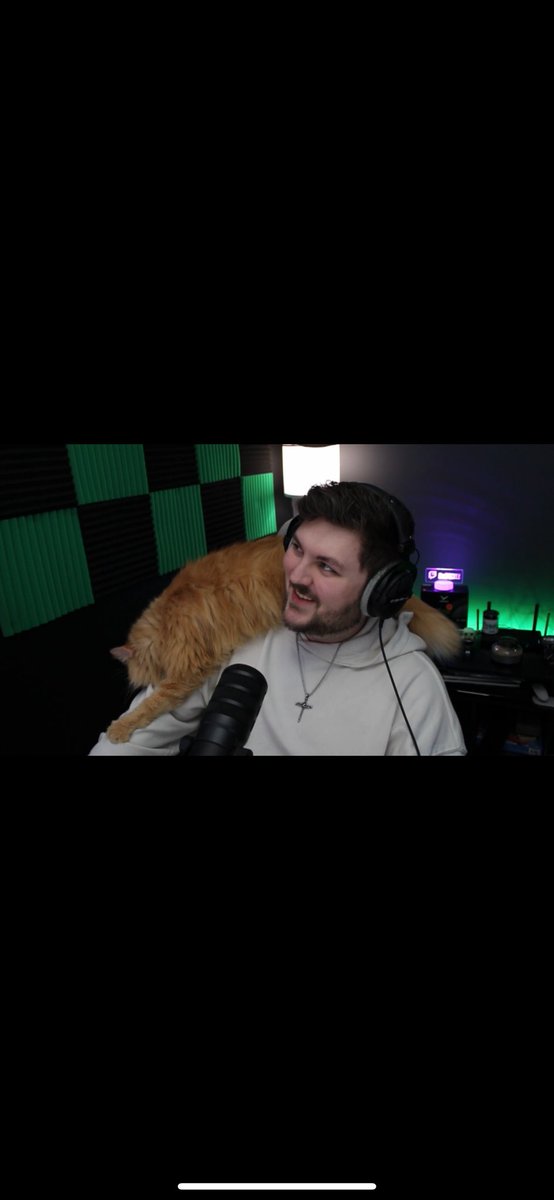 Just the average stream with my cat😂