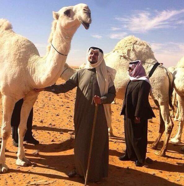 أبو شيهانة tweet media